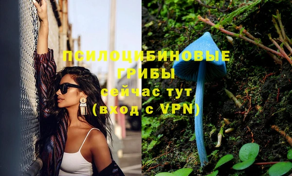 ешки Фёдоровский