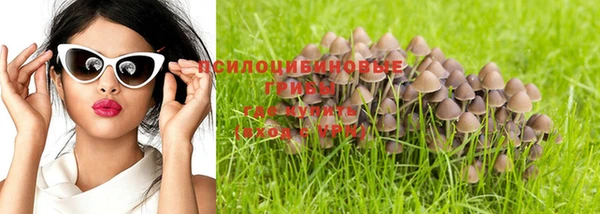 дмт Нестеровская