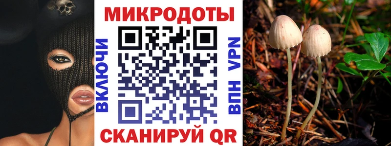 Псилоцибиновые грибы мицелий Купить закладки Азов