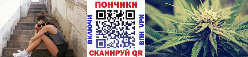 Бошки марихуана SATIVA & INDICA  Купить закладки  Азов 